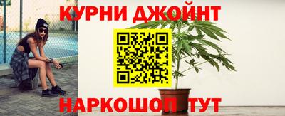 сатива Кунгур