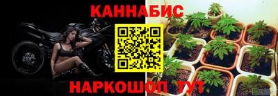 сатива Кунгур