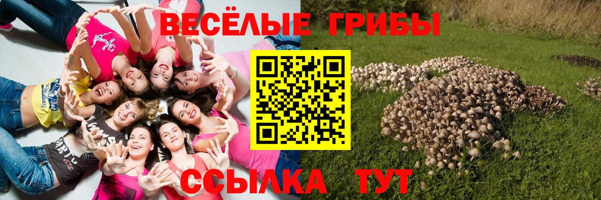 Галлюциногенные грибы прущие грибы Донской