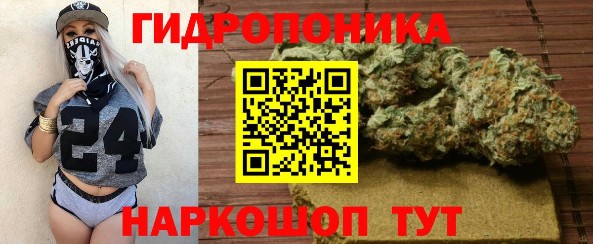 Конопля марихуана Донской