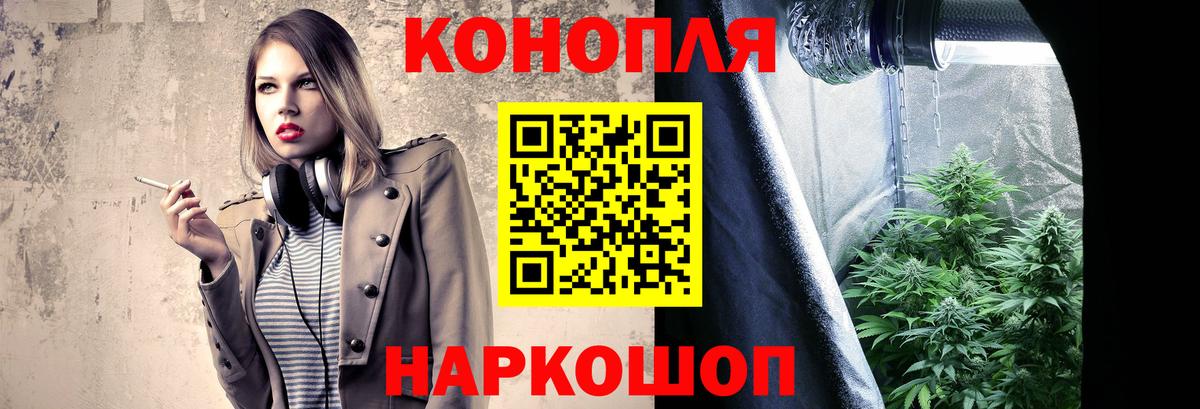 Канабис планчик  Бошки Шишки индика  Донской  Каннабис AK-47  Вход с VPN 
